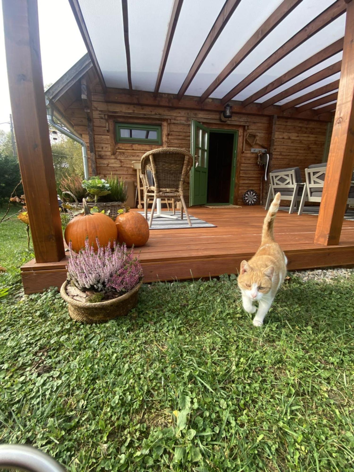 Chalet Mannana Haziko Szokolya